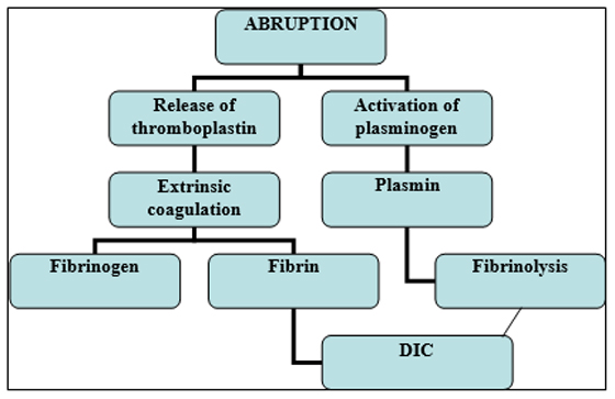 Thesis on antepartum haemorrhage