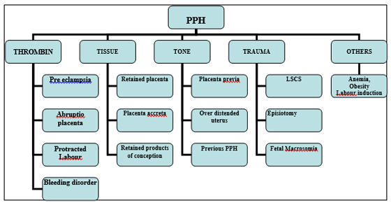 Pph Flow Chart